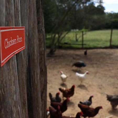 Blackwattle Farm Beerwah Exterior foto