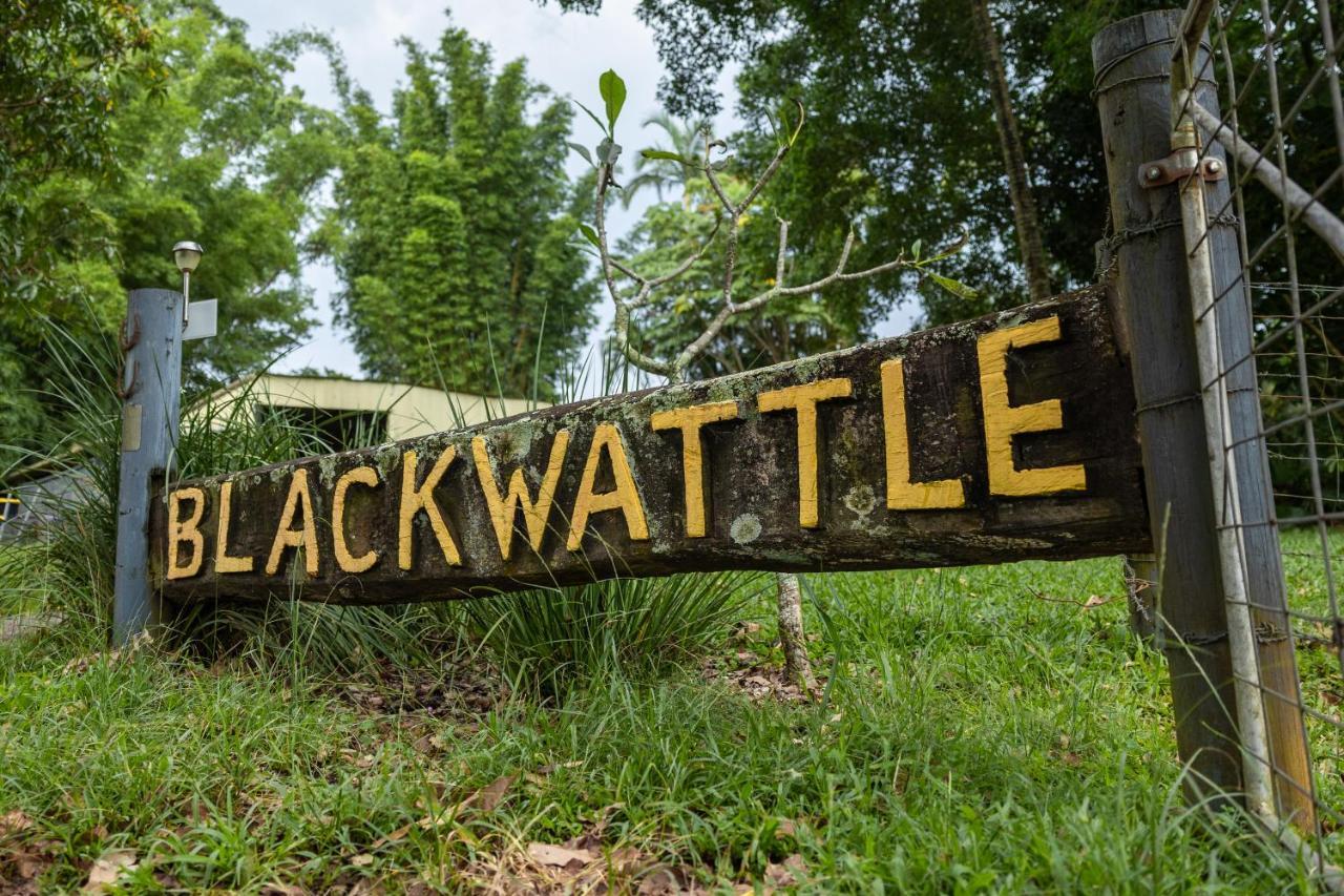 Blackwattle Farm Beerwah Exterior foto