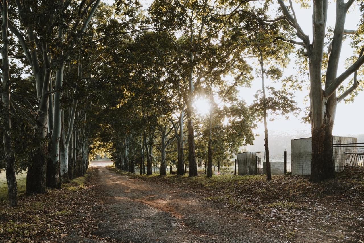 Blackwattle Farm Beerwah Exterior foto