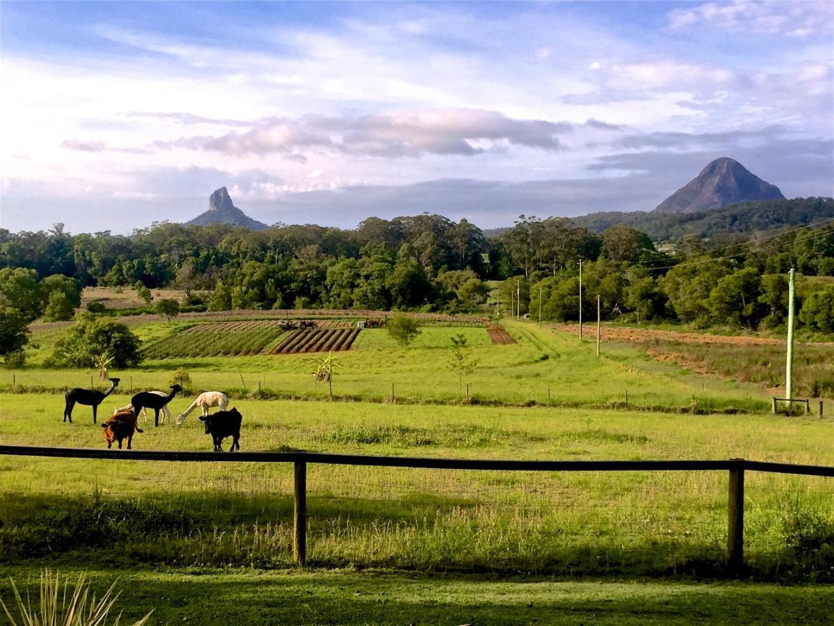 Blackwattle Farm Beerwah Quarto foto